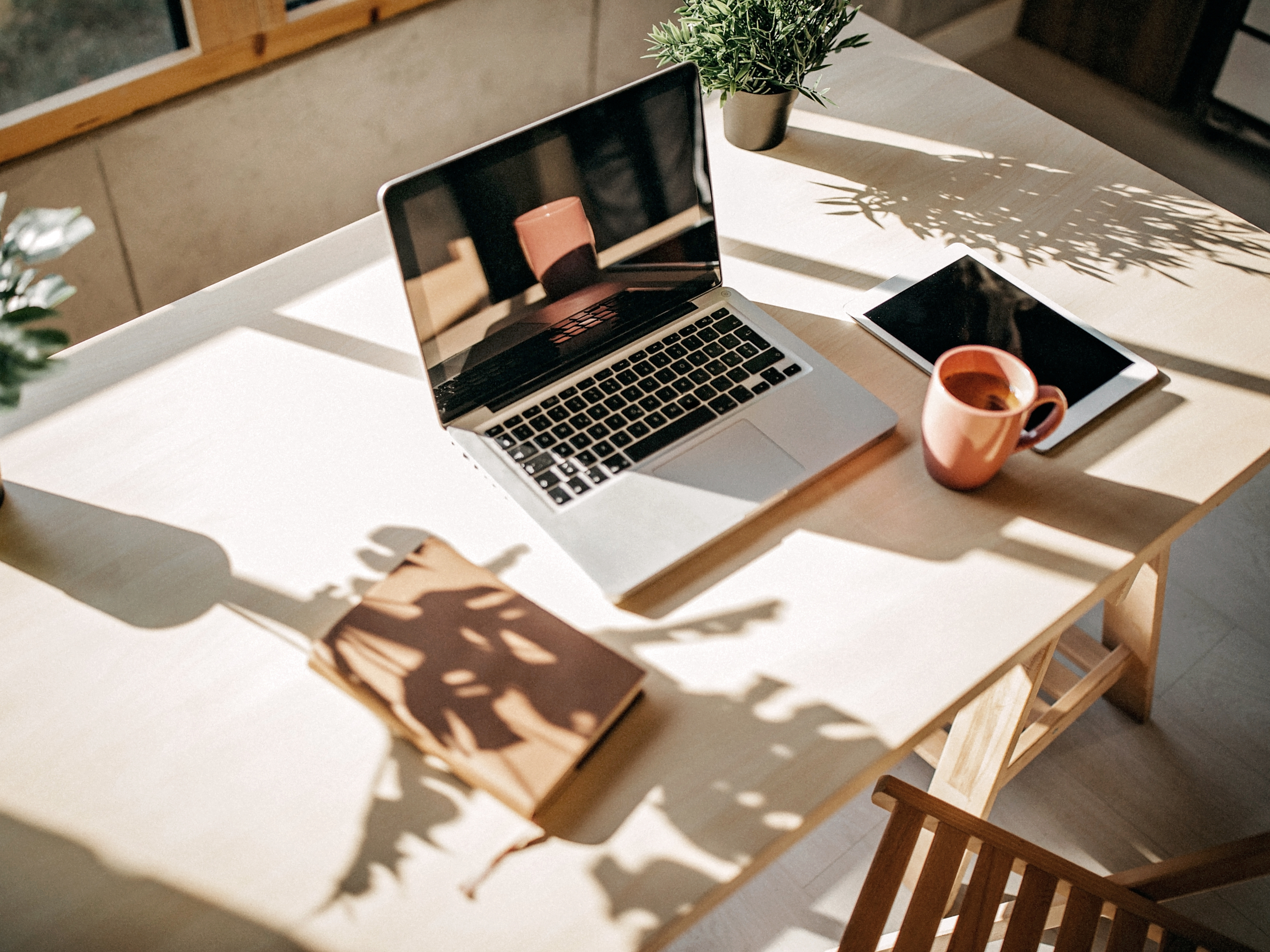 bureau de travail avec ordinateur portable, tasse a café et ombres de plantes